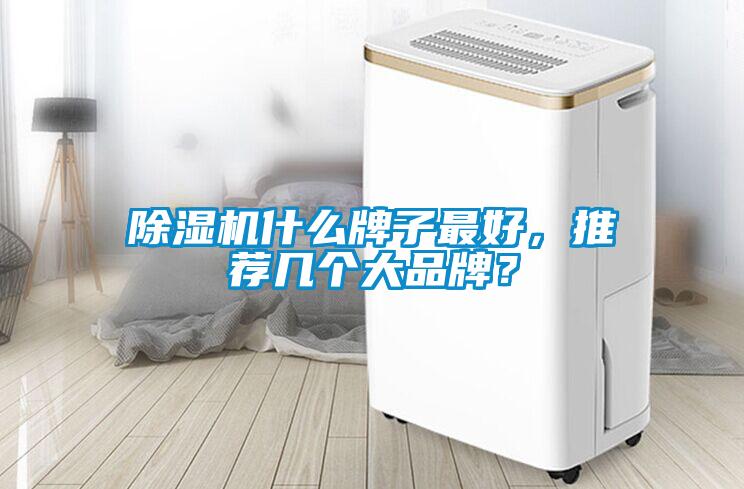 除濕機(jī)什么牌子最好，推薦幾個(gè)大品牌？