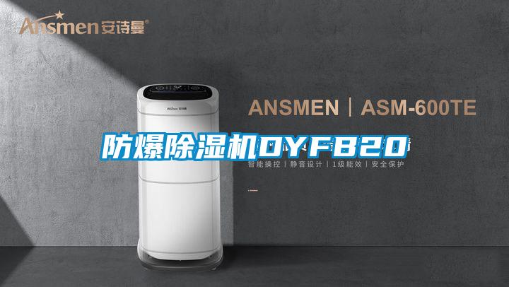防爆除濕機(jī)DYFB20