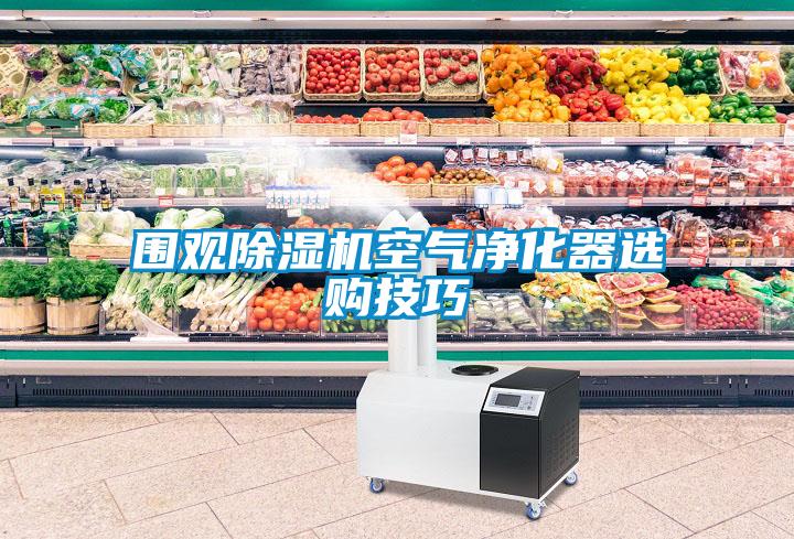圍觀除濕機(jī)空氣凈化器選購技巧