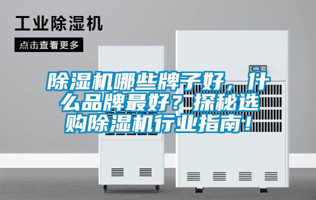 除濕機(jī)哪些牌子好，什么品牌最好？探秘選購(gòu)除濕機(jī)行業(yè)指南！