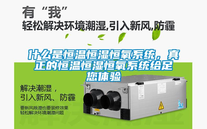 什么是恒溫恒濕恒氧系統(tǒng)，真正的恒溫恒濕恒氧系統(tǒng)給足您體驗