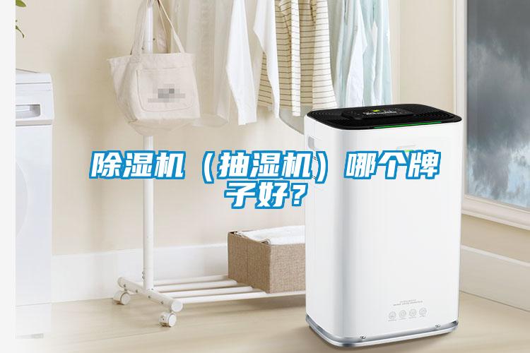 除濕機(jī)（抽濕機(jī)）哪個(gè)牌子好？