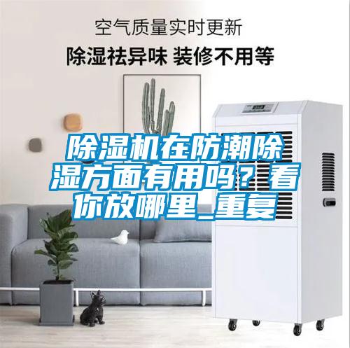 除濕機(jī)在防潮除濕方面有用嗎？看你放哪里_重復(fù)