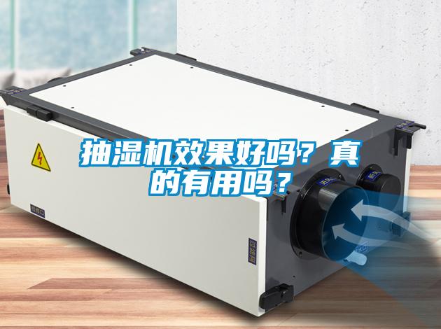 抽濕機效果好嗎？真的有用嗎？