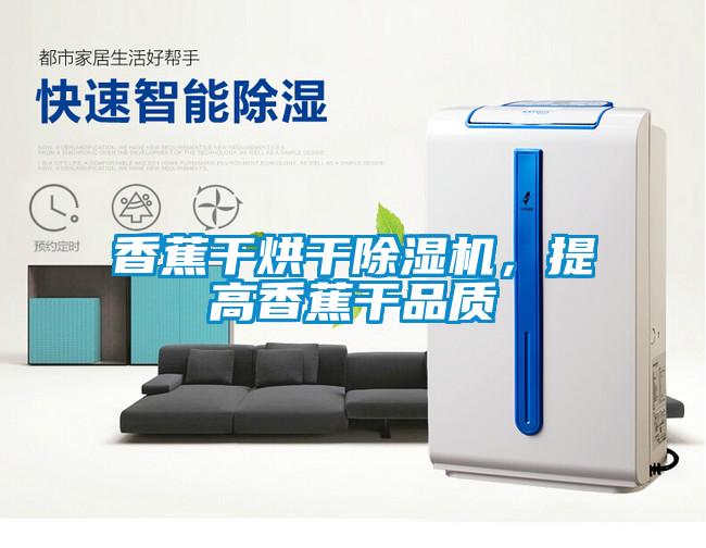 香蕉干烘干除濕機(jī)，提高香蕉干品質(zhì)