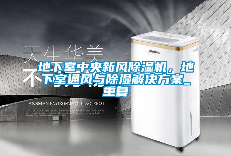 地下室中央新風除濕機，地下室通風與除濕解決方案_重復