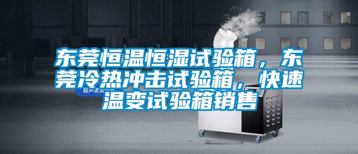 東莞恒溫恒濕試驗箱，東莞冷熱沖擊試驗箱，快速溫變試驗箱銷售