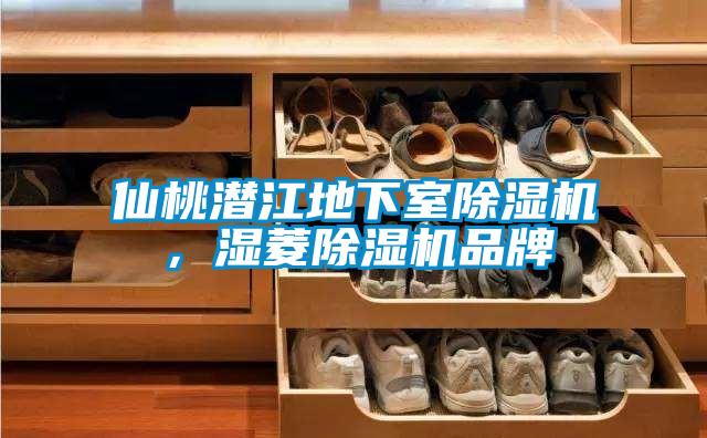 仙桃潛江地下室除濕機(jī)，濕菱除濕機(jī)品牌