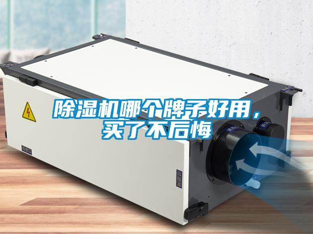 除濕機(jī)哪個(gè)牌子好用，買了不后悔