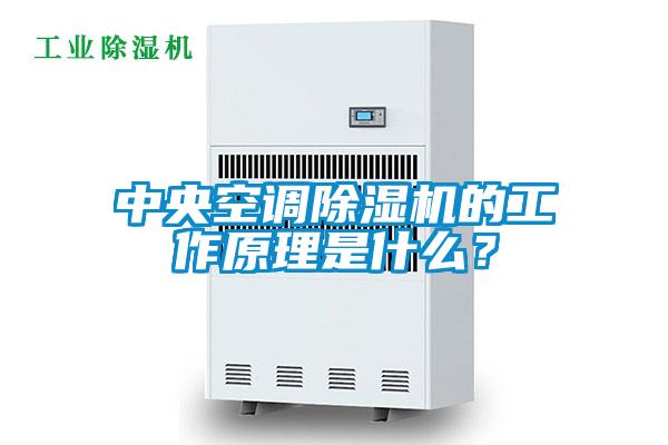 中央空調(diào)除濕機(jī)的工作原理是什么？