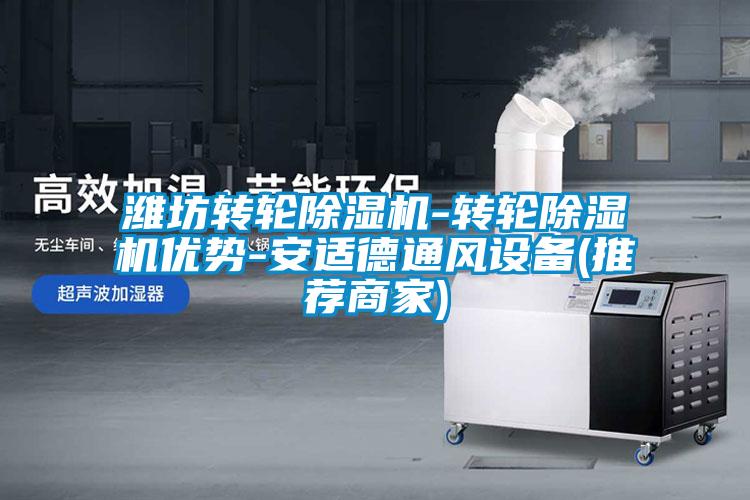 濰坊轉(zhuǎn)輪除濕機-轉(zhuǎn)輪除濕機優(yōu)勢-安適德通風(fēng)設(shè)備(推薦商家)