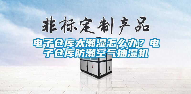 電子倉(cāng)庫(kù)太潮濕怎么辦？電子倉(cāng)庫(kù)防潮空氣抽濕機(jī)