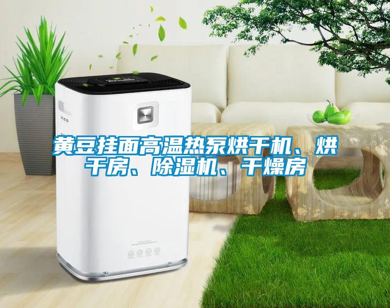 黃豆掛面高溫?zé)岜煤娓蓹C(jī)、烘干房、除濕機(jī)、干燥房