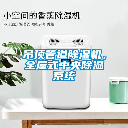 吊頂管道除濕機，全屋式中央除濕系統(tǒng)