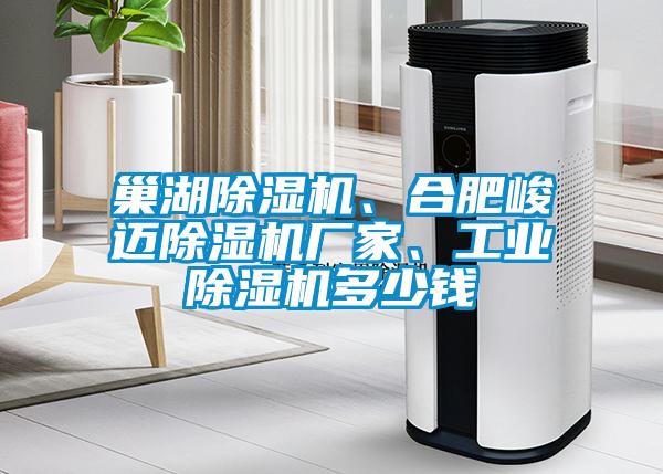 巢湖除濕機(jī)、合肥峻邁除濕機(jī)廠家、工業(yè)除濕機(jī)多少錢