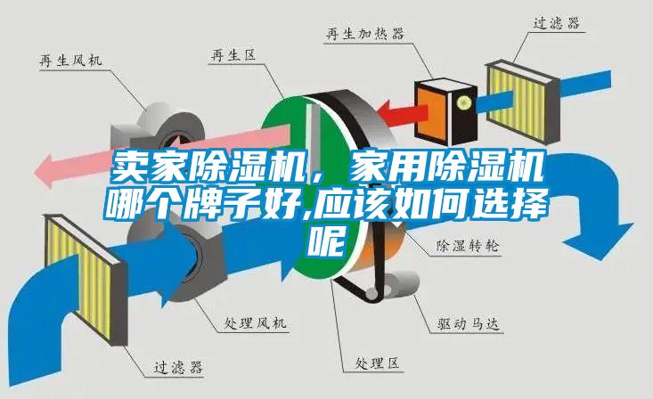 賣家除濕機(jī)，家用除濕機(jī)哪個牌子好,應(yīng)該如何選擇呢