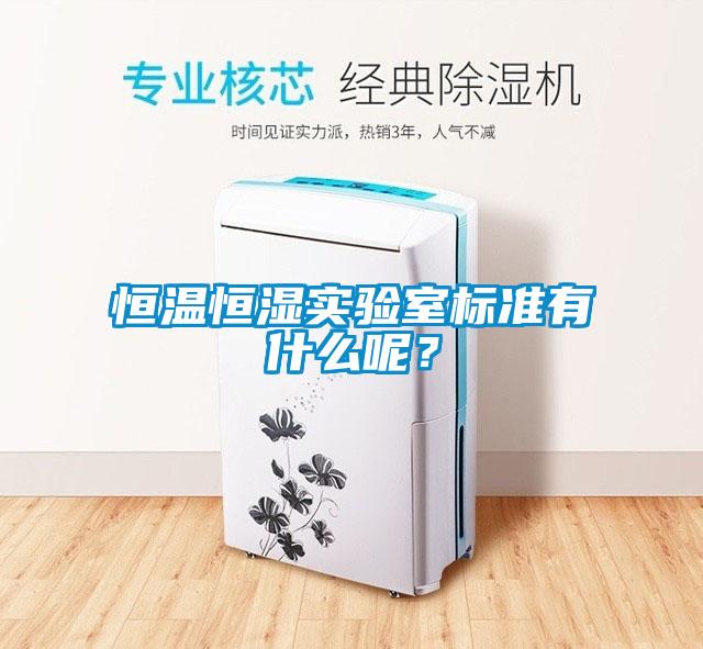恒溫恒濕實(shí)驗(yàn)室標(biāo)準(zhǔn)有什么呢？