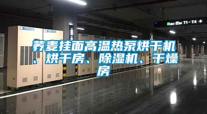 蕎麥掛面高溫熱泵烘干機、烘干房、除濕機、干燥房
