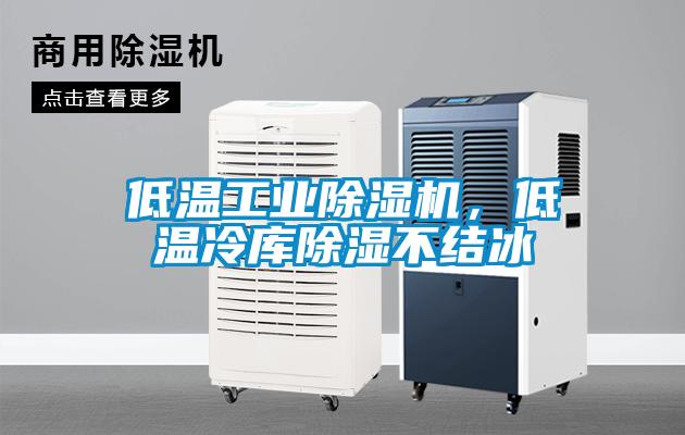 低溫工業(yè)除濕機(jī)，低溫冷庫除濕不結(jié)冰