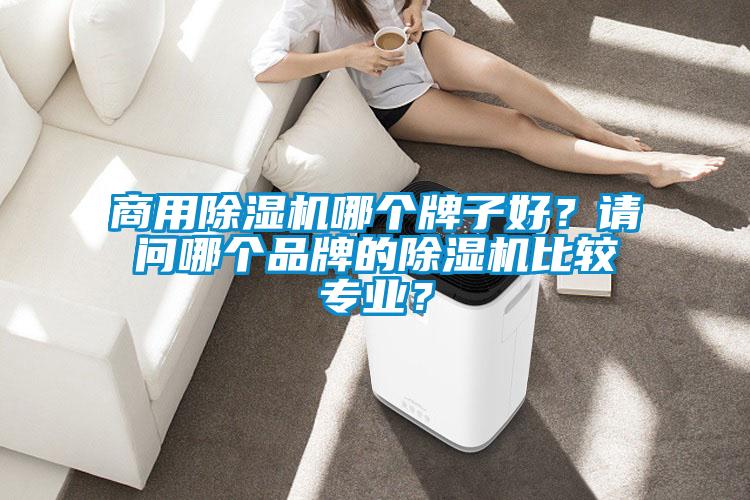 商用除濕機(jī)哪個(gè)牌子好？請(qǐng)問(wèn)哪個(gè)品牌的除濕機(jī)比較專業(yè)？