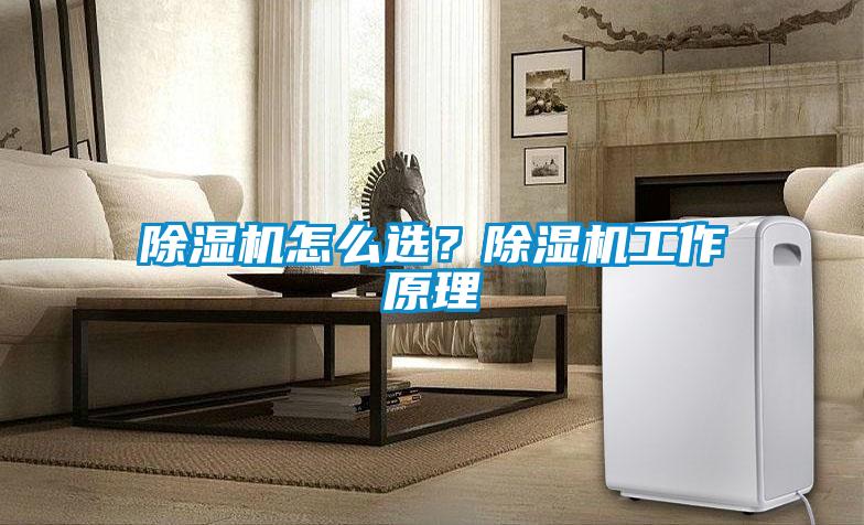 除濕機(jī)怎么選？除濕機(jī)工作原理