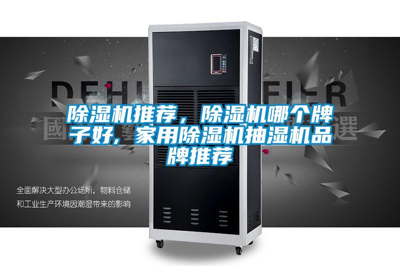 除濕機推薦，除濕機哪個牌子好, 家用除濕機抽濕機品牌推薦