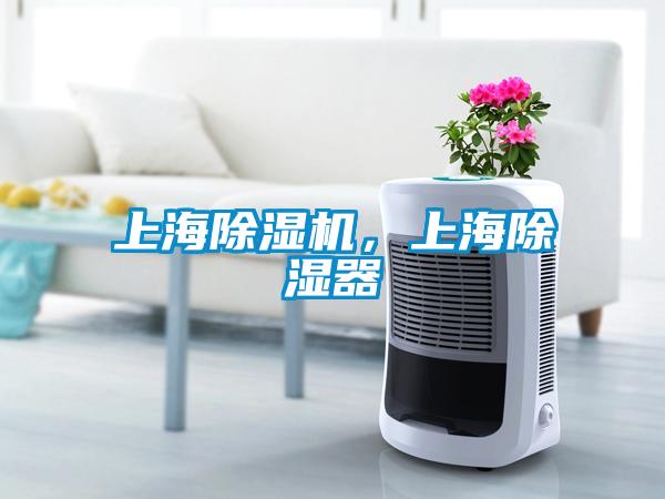 上海除濕機(jī)，上海除濕器