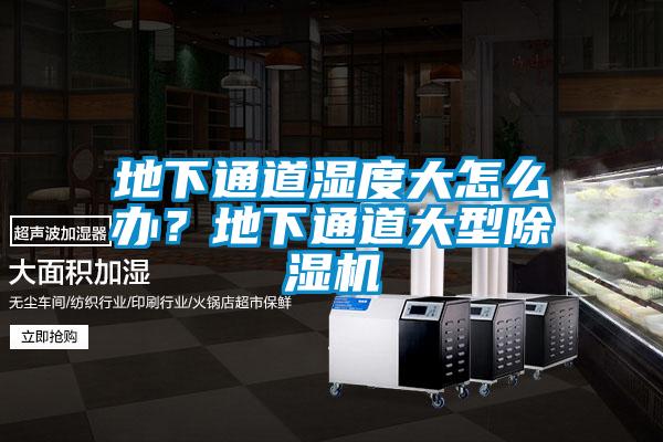 地下通道濕度大怎么辦？地下通道大型除濕機(jī)