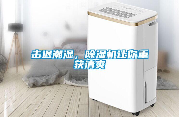 擊退潮濕，除濕機(jī)讓你重獲清爽