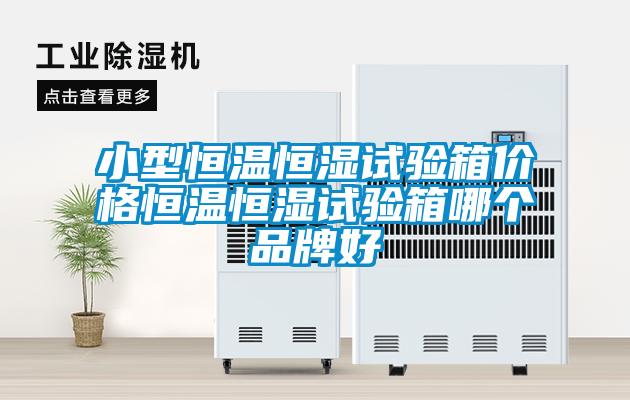 小型恒溫恒濕試驗(yàn)箱價(jià)格恒溫恒濕試驗(yàn)箱哪個品牌好