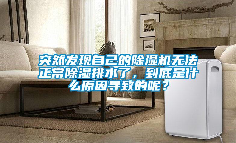 突然發(fā)現(xiàn)自己的除濕機無法正常除濕排水了，到底是什么原因?qū)е碌哪兀?/></p>
						    <p style=