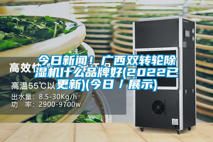 今日新聞！廣西雙轉(zhuǎn)輪除濕機(jī)什么品牌好(2022已更新)(今日／展示)