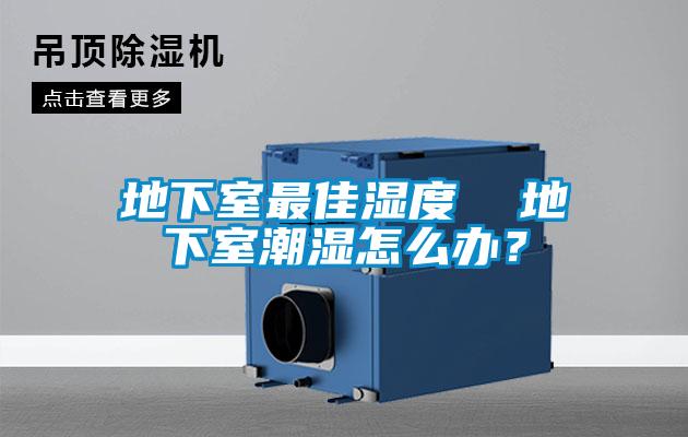 地下室最佳濕度  地下室潮濕怎么辦？