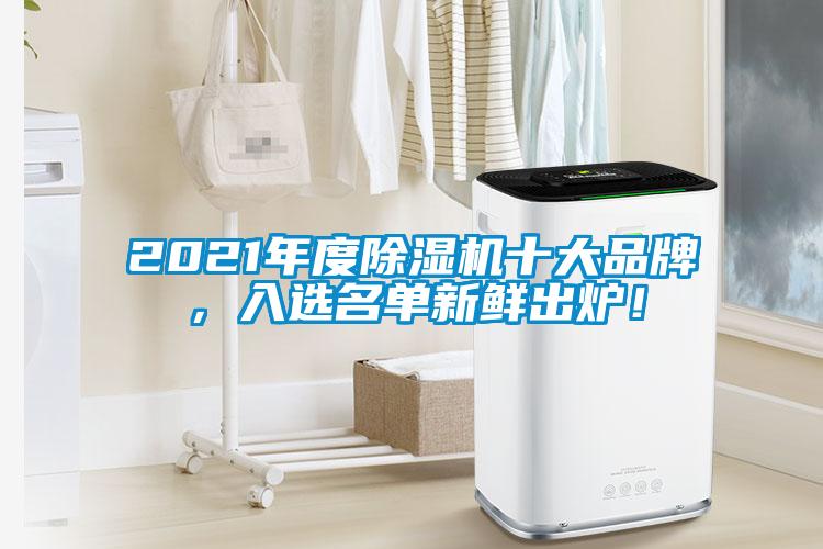 2021年度除濕機(jī)十大品牌，入選名單新鮮出爐！