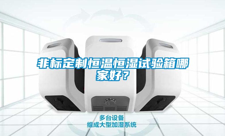 非標定制恒溫恒濕試驗箱哪家好？