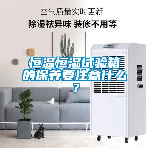 恒溫恒濕試驗(yàn)箱的保養(yǎng)要注意什么？