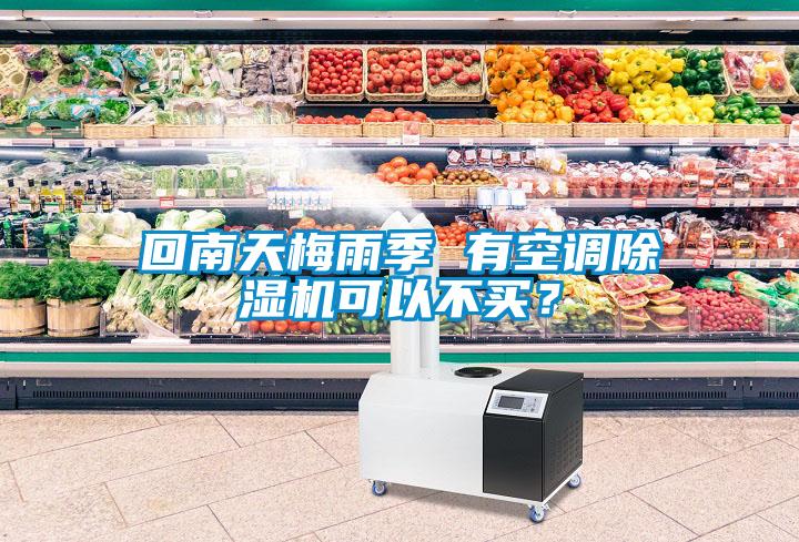 回南天梅雨季 有空調(diào)除濕機(jī)可以不買？