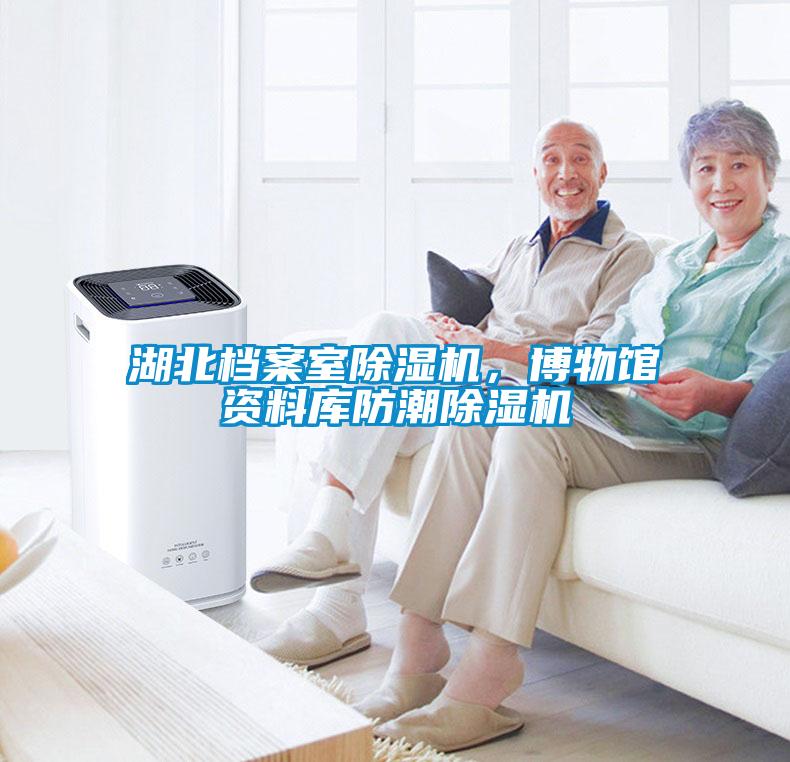 湖北檔案室除濕機，博物館資料庫防潮除濕機