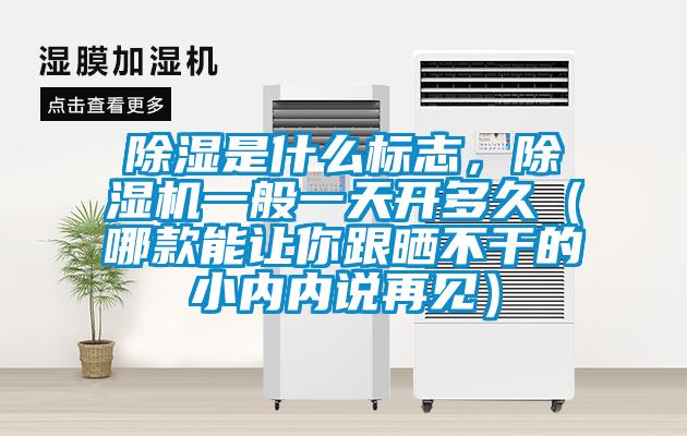 除濕是什么標(biāo)志，除濕機一般一天開多久（哪款能讓你跟曬不干的小內(nèi)內(nèi)說再見）