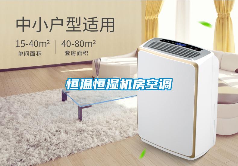 恒溫恒濕機房空調(diào)