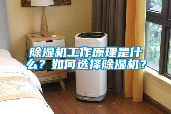 除濕機(jī)工作原理是什么？如何選擇除濕機(jī)？