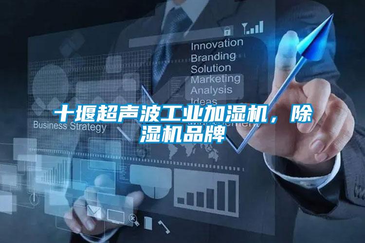 十堰超聲波工業(yè)加濕機(jī)，除濕機(jī)品牌