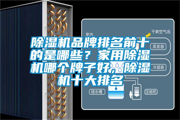 除濕機品牌排名前十的是哪些？家用除濕機哪個牌子好，除濕機十大排名