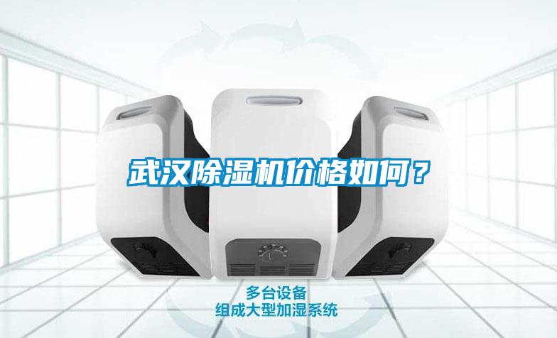 武漢除濕機價格如何？
