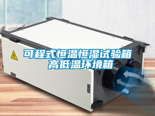 可程式恒溫恒濕試驗箱 高低溫環(huán)境箱
