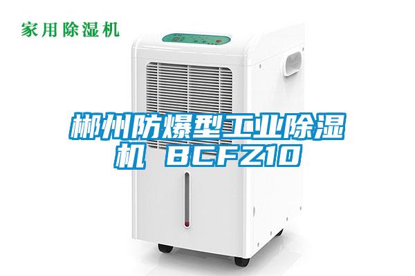 郴州防爆型工業(yè)除濕機(jī) BCFZ10