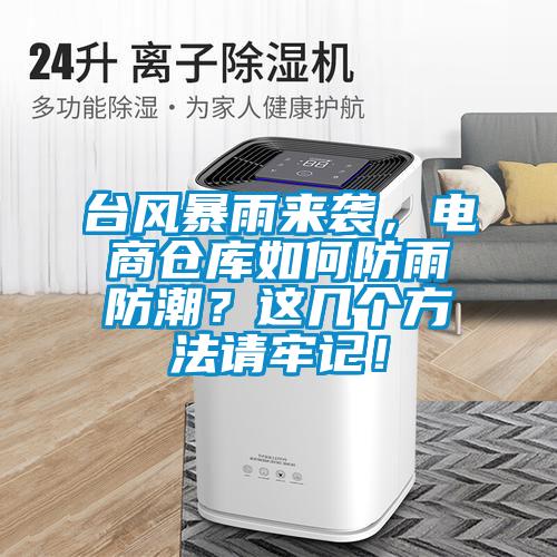 臺(tái)風(fēng)暴雨來(lái)襲，電商倉(cāng)庫(kù)如何防雨防潮？這幾個(gè)方法請(qǐng)牢記！