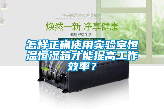 怎樣正確使用實驗室恒溫恒濕箱才能提高工作效率？