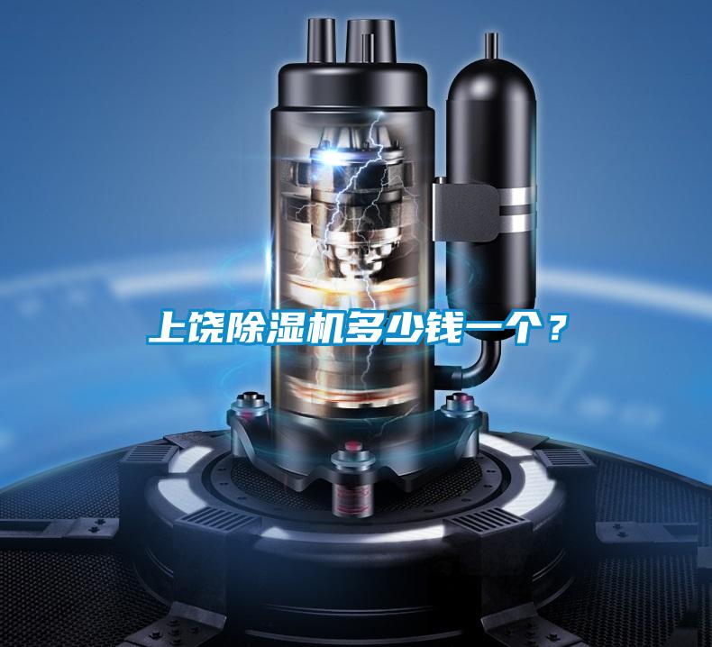 上饒除濕機(jī)多少錢(qián)一個(gè)？