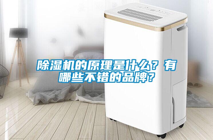 除濕機(jī)的原理是什么？有哪些不錯(cuò)的品牌？